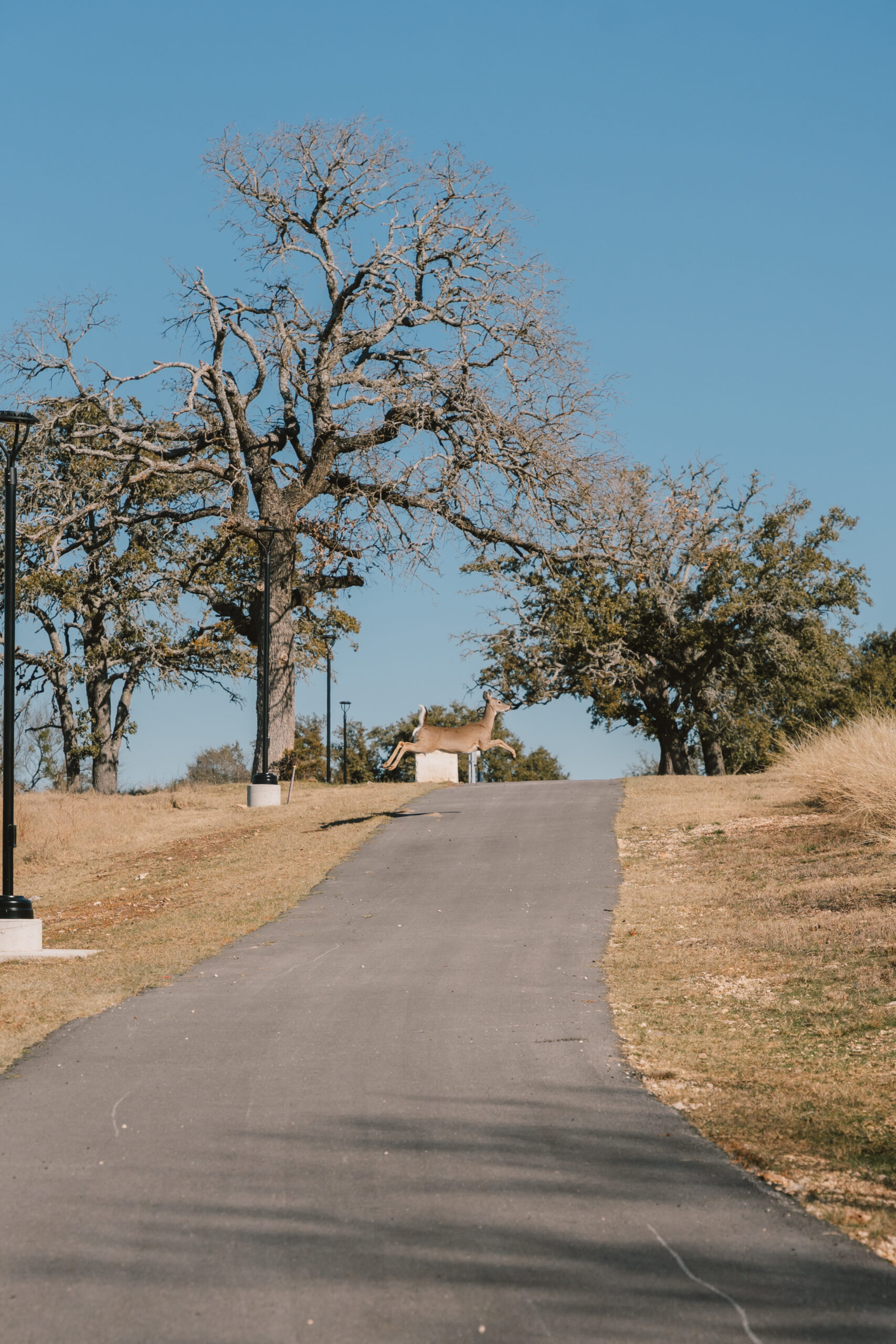 Stoneloake-5